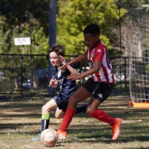 Profile photo of academyballer ting